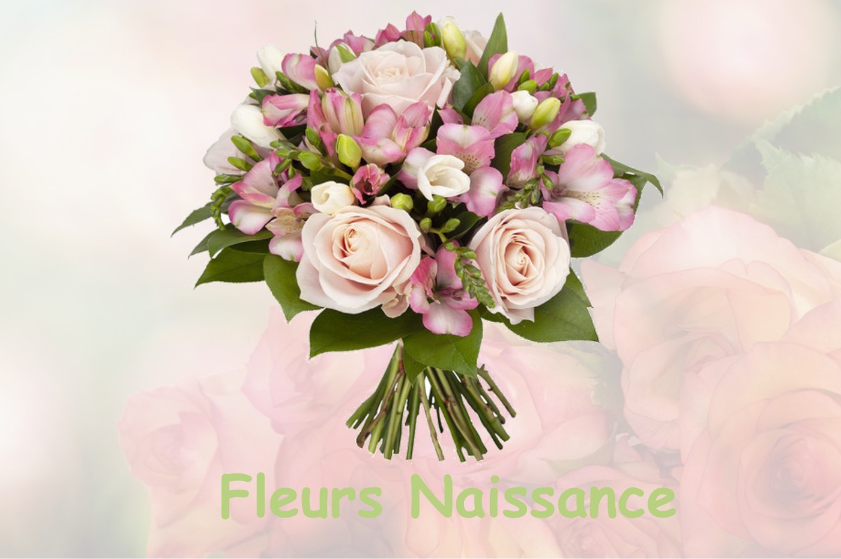fleurs naissance ASSE-LE-RIBOUL