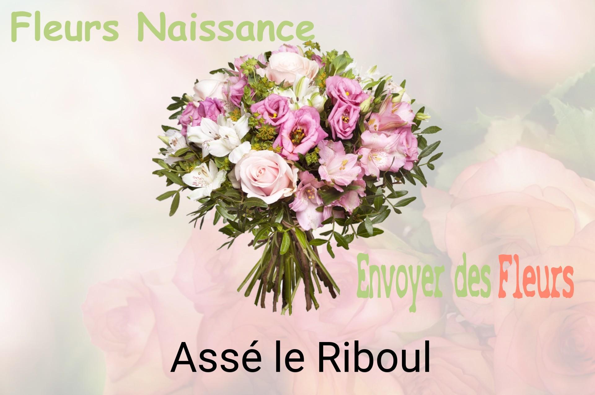 Bouquet de fleurs de naissance livré à Assé-le-Riboul