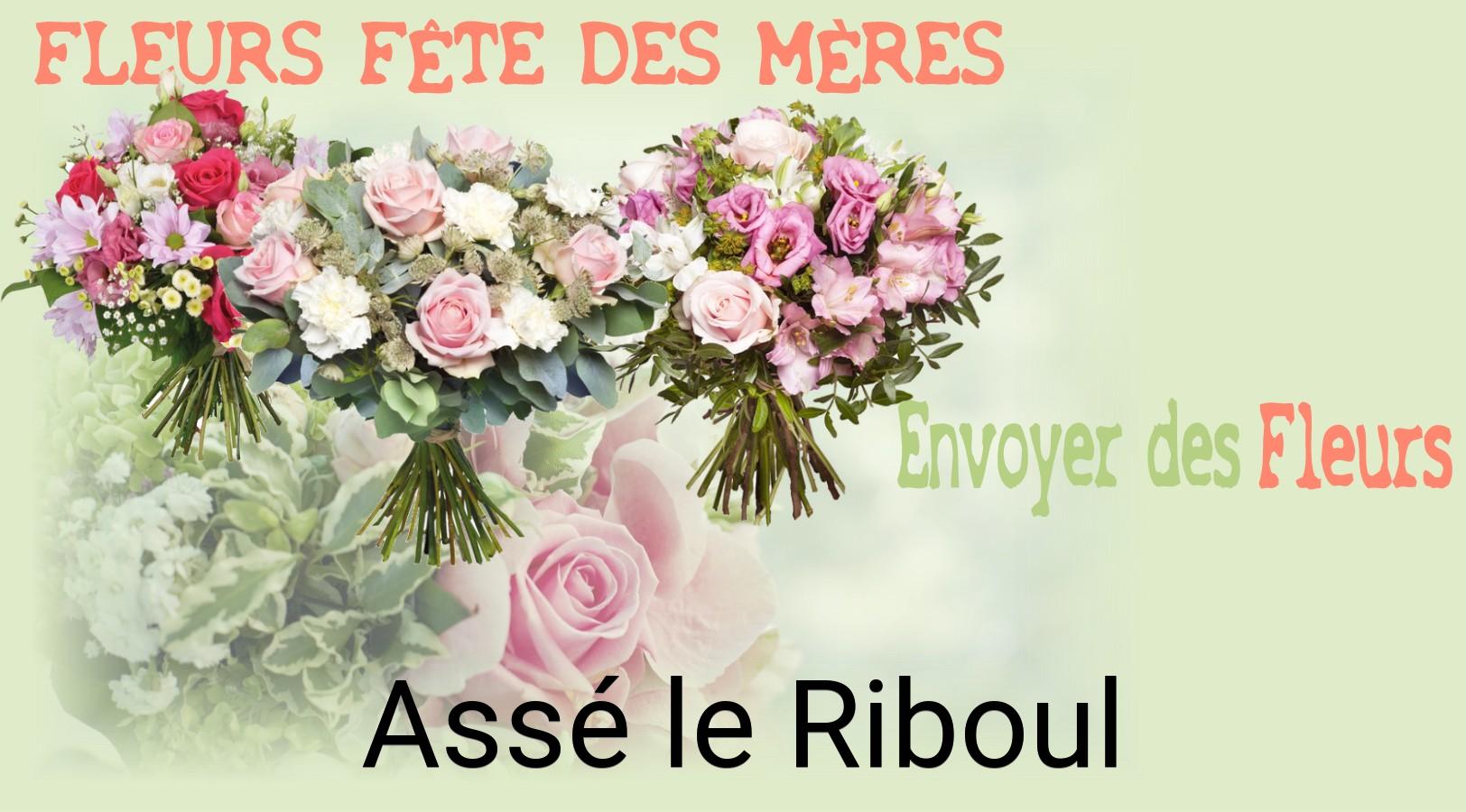 Bouquet de Fête des Mères livré à Assé-le-Riboul