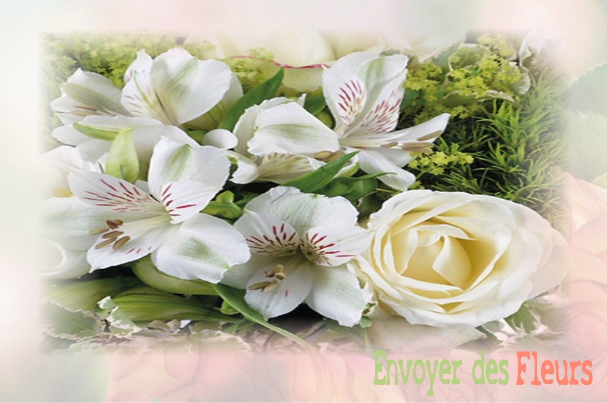 envoyer des fleurs à à ASSE-LE-RIBOUL